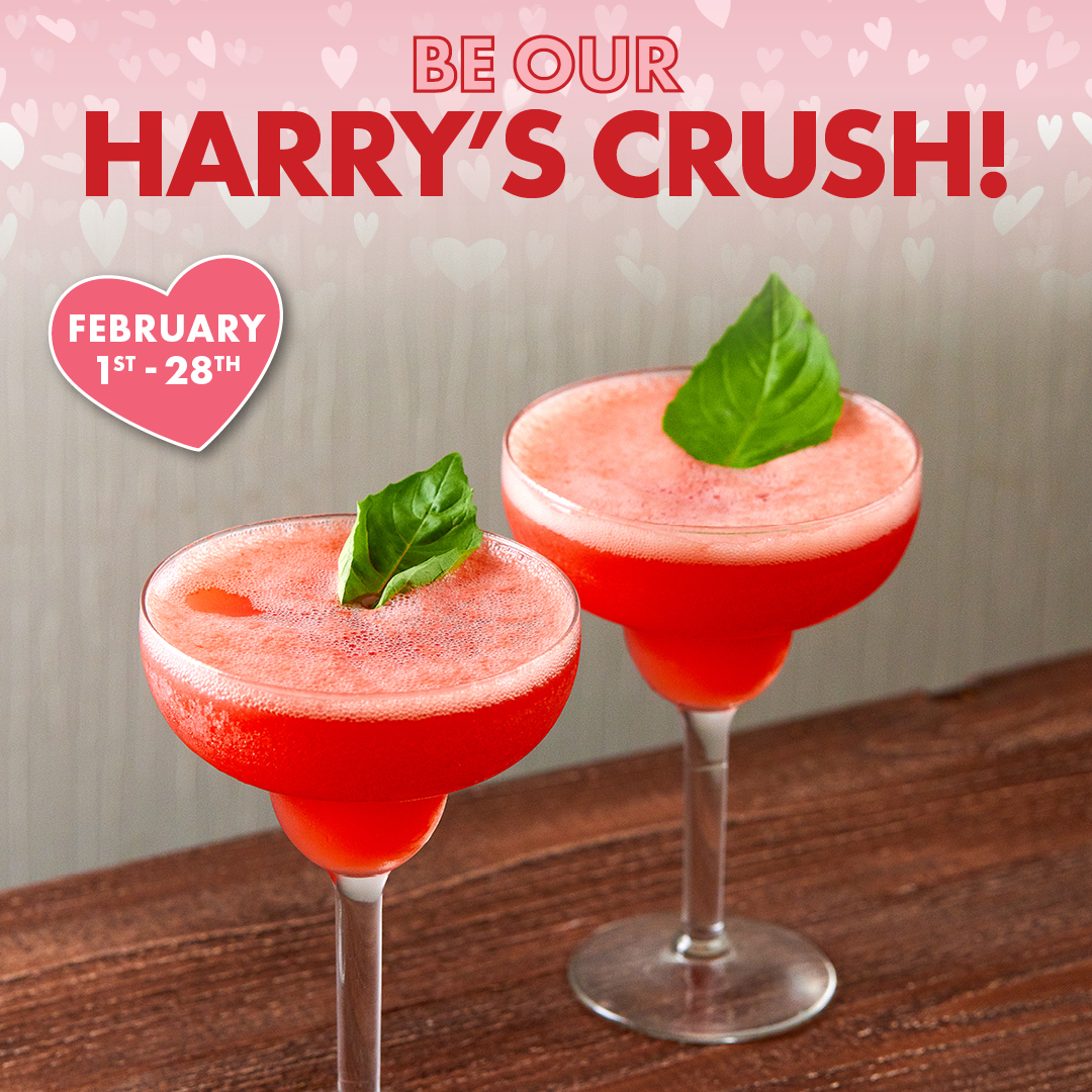 Featured image for post: BE OUR HARRY’S CRUSH