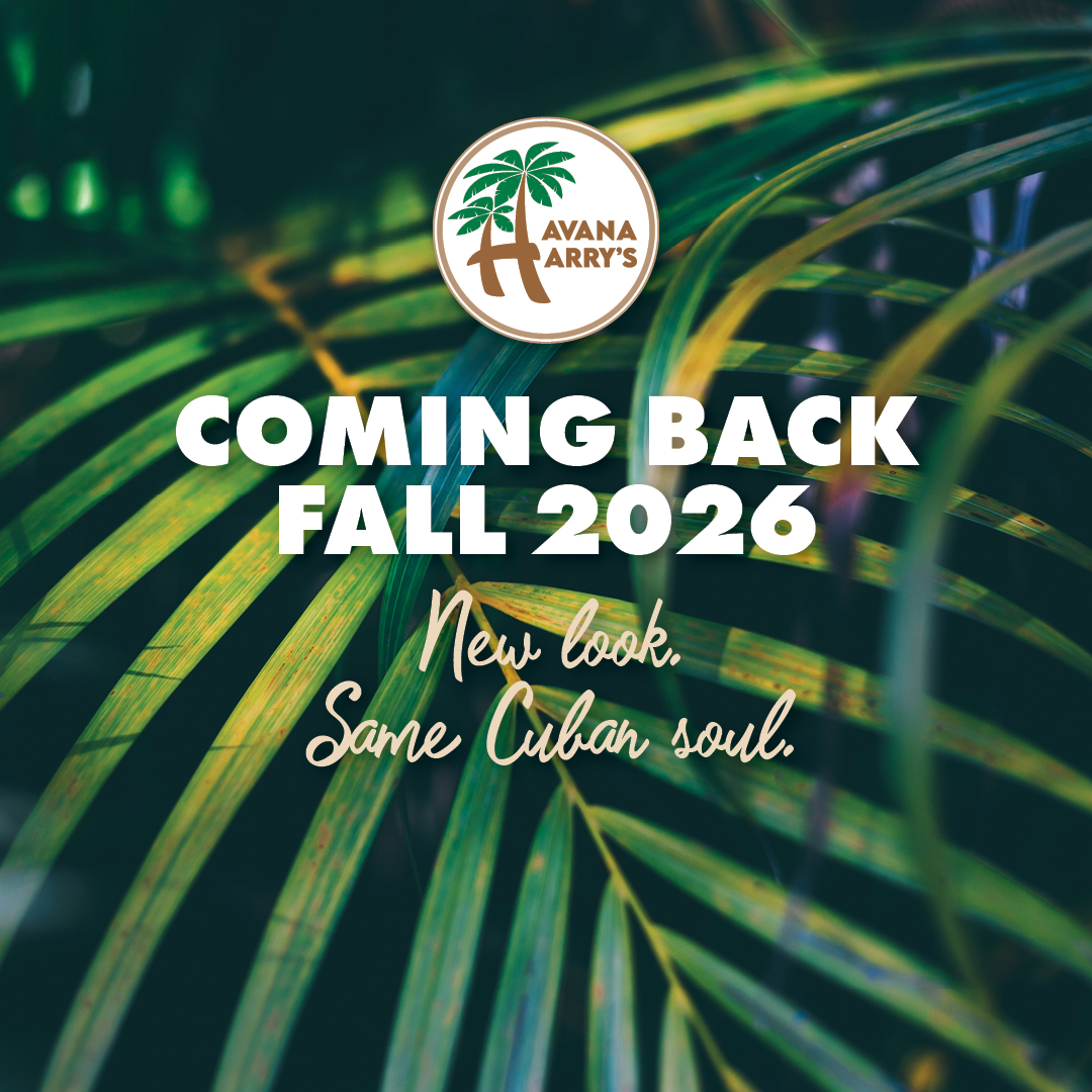 HAV ComingBack2026 Happening